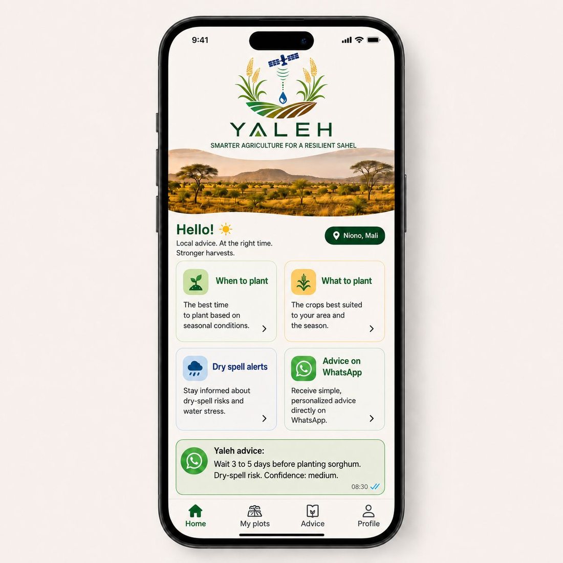 Yaleh mobile advisory interface in English showing planting advice and dry-spell alerts